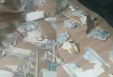 Video: rata destroza más de 15 mil pesos en ahorros