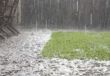 Durante este viernes se pronostican lluvias puntuales muy fuertes en Chiapas, Guerrero y Oaxaca