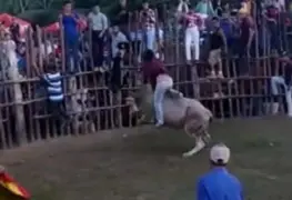 Regresan las tradicionales toreadas en feria de villa Jalupa 2022