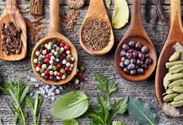 Diferencias entre hierbas, especias y condimentos y c&oacute;mo usarlos en la cocina 