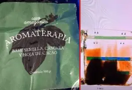 Decomisan 141 kilos de ayahuasca en el AICM