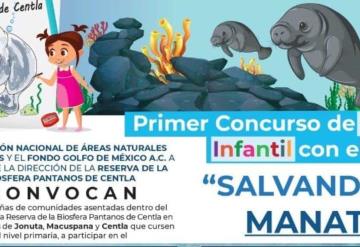 Convocan a participar en concurso infantil Salvando al Manatí