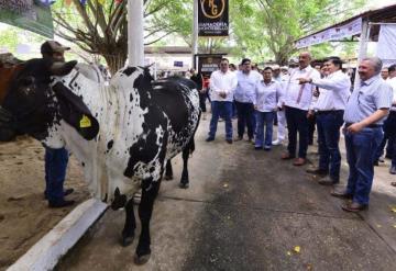 Privilegiarán la producción de carne y leche con el rescate de la Unión Ganadera Regional de Tabasco