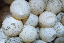 Vinculan a proceso a sospechoso detenido con 21 mil huevos de tortuga