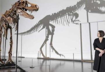 Subastan esqueleto de dinosaurio de 77 mil años de existencia