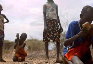 ONU: 800 millones sufren de hambre en el mundo