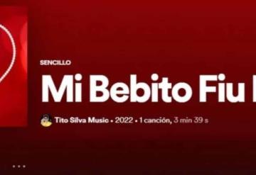 Spotify baja el éxito del momento: ¿por qué retiró la canción Mi bebito fiu fiu?