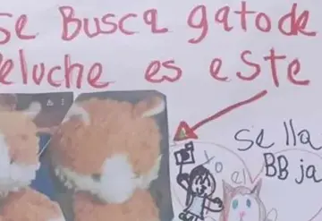 Un dulce y 20 pesos: Niña ofreció recompensa para encontrar a su peluche
