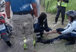 Conductor de transporte público colisiona a un motorista