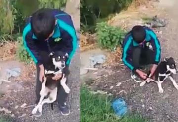 Video: Hombre ató de las patas a un perrito y lo avienta al río; lo obligan a rescatarlo