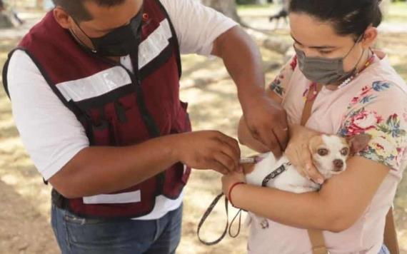 Ayuntamiento del Centro inició campaña de ¡No al Maltrato Animal!