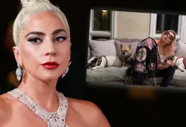 Ofrecen recompensa por el atacante del paseador de perros de Lady Gaga