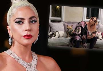 Ofrecen recompensa por el atacante del paseador de perros de Lady Gaga