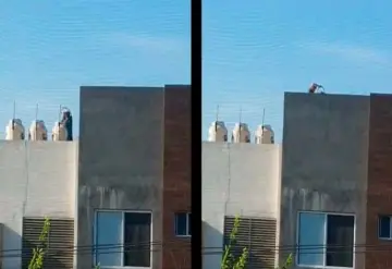 Captan a hombre robando agua de tinaco de su vecino en Monterrey