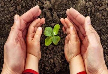 El acceso a un medio ambiente limpio, sano y sostenible ya es derecho; PVEM celebra reconocimiento de la ONU