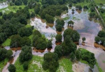 Derrame de petróleo quemado en el río Mezcalapa sin afectación mayor sobre planicie tabasqueña