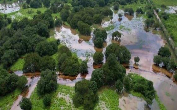 Derrame de petróleo quemado en el río Mezcalapa sin afectación mayor sobre planicie tabasqueña