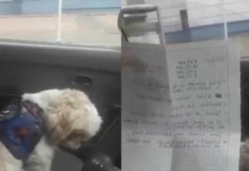 Pasajero abandona en un taxi a un perro por ser viejito