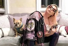 Condenan a cuatro años de cárcel el hombre que secuestró a los perros de Lady Gaga