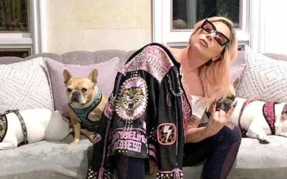 Condenan a cuatro años de cárcel el hombre que secuestró a los perros de Lady Gaga