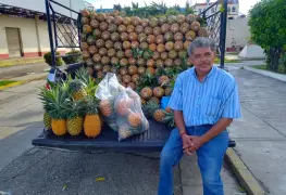 Discapacitado se gana la vida vendiendo fruta de temporada