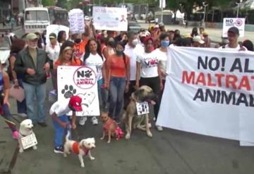 Perros y gatos marchan para exigir leyes contra el maltrato animal