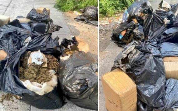 Hallan en Guanajuato 90 kilos de marihuana en bolsas de basura