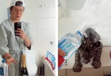 Critican a Fofo Márquez por bañar a jaguar en champagne; señalan posible maltrato animal