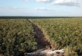 Buscan expropiar 190 hectáreas para el Tren Maya; en terrenos en Solidaridad y Tulum