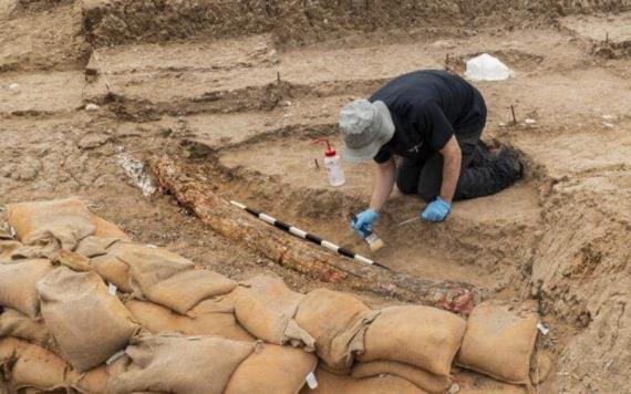 Descubren colmillo de elefante de hace medio millón de años en Israel