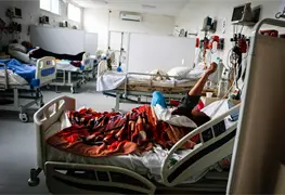 Confirman que brote de neumon&iacute;a en Argentina lo ocasion&oacute; la bacteria legionella