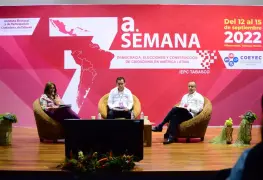 Pandemia deja ver la diabetes de la democracia afirma profesora investigadora