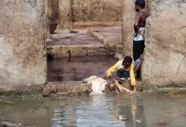 OMS alerta aparición de brotes de cólera en todo el mundo