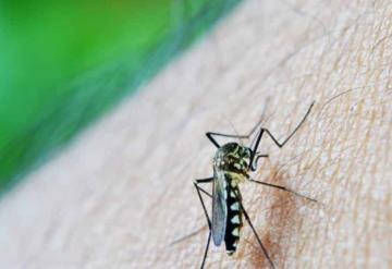 ¿Qué es el Virus del Oeste del Nilo, cuáles son los síntomas y cómo prevenir?