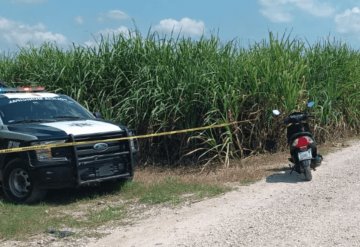 Hallan cuerpo putrefacto en un cañal en Cárdenas