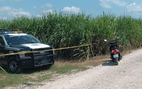 Hallan cuerpo putrefacto en un cañal en Cárdenas