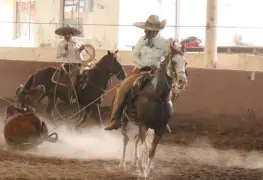 Etapa final del Circuito Tabasco 2022 se vivirá en el lienzo "Lic. Carlos. A. Madrazo Becerra" de Villahermosa