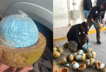 En Sonora FGR decomisa, 300 kilos de fentanilo escondidos en cocos