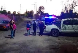 Reportan muerte masiva de animales en San Luis Potosí, la mayoría son perros