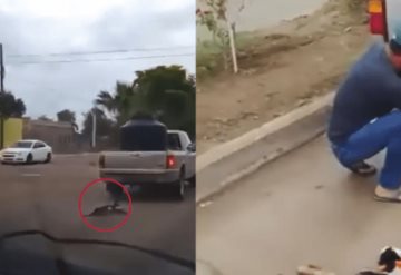 Hombre arrastra a perrito con su camioneta en Sonora; piden justicia para "Zorrillo"