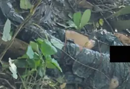 Hallan cadáver torturado en bolsas negras
