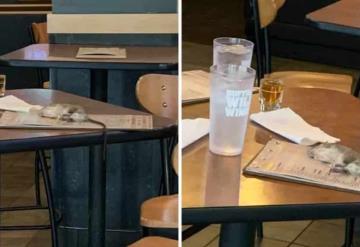 Una rata cae del techo sobre la mesa de clientes que esperaban su orden en un restaurante