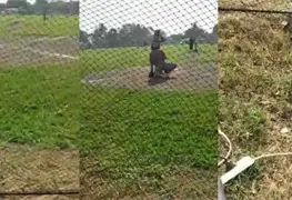 Matan a entrenador y un menor es herido en pleno partido de b&eacute;isbol en Veracruz