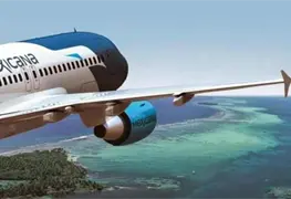 Bedolla buscar&aacute; reactivar vuelos comerciales de L&aacute;zaro C&aacute;rdenas con Mexicana de Aviaci&oacute;n