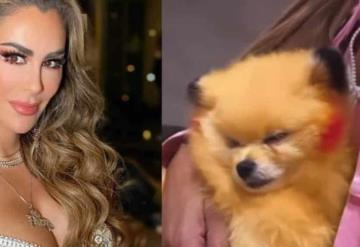 Ninel Conde presume perrito pintado como Pikachu y la critican por maltrato