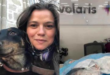 Mujer denuncia que Volaris le regresó a su perrito con heridas