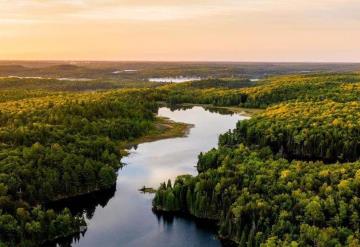 PARA REMEDIAR AL MEDIO AMBIENTE, 18 BILLONES DE PESOS 