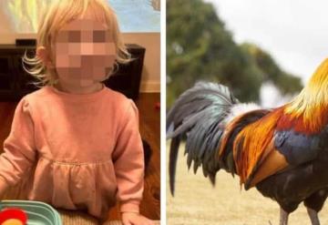 Un gallo de mascota ataca a una pequeña y su mamá lo hace nuggets como venganza