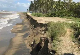 Territorio y Gestión en la Zona Costera