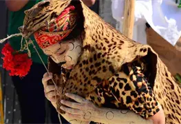 "Danza del Poch&oacute;", con rasgos y caracter&iacute;sticas Mayas, originaria de Tenosique: Su&aacute;rez Vela